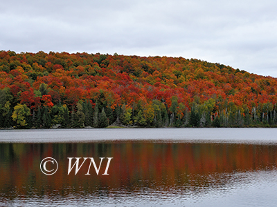 Algonquin Provincial Park and Algonquin Highlands